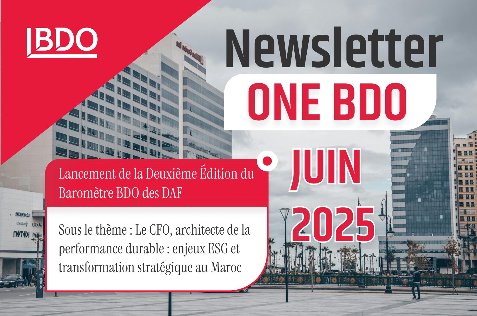 Newsletter ONE BDO Décembre 2024 